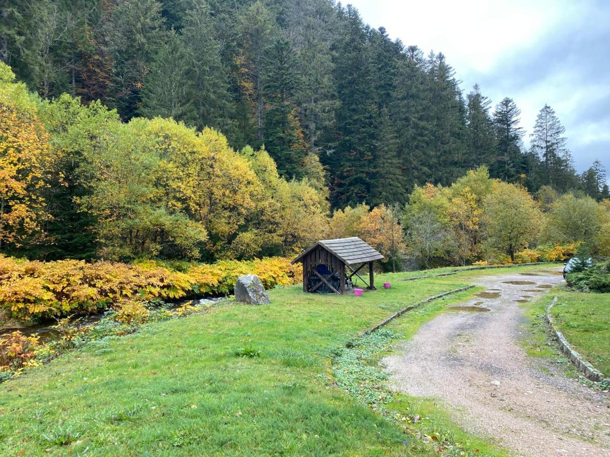 Apartmán Le Cosy De La Vologne Gérardmer Exteriér fotografie
